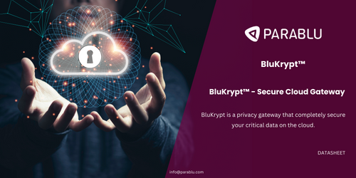 BluKrypt™ – Secure Cloud Gateway