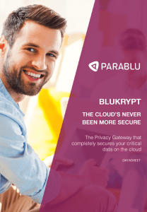 BluKrypt™ - Secure Cloud Gateway