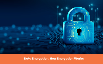 Data Encryption: How Encryption Works