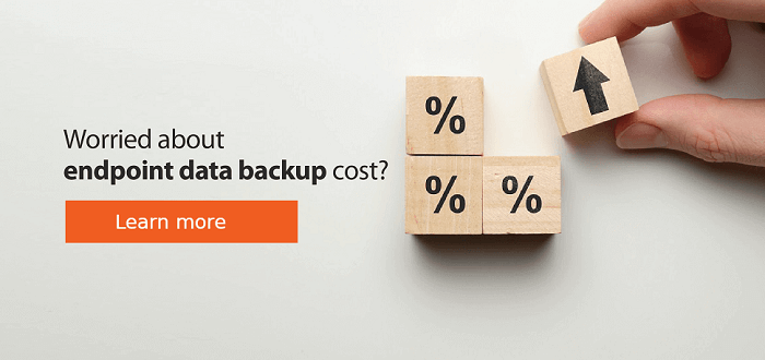 Data Protection with Zero Cost Storage for Backup