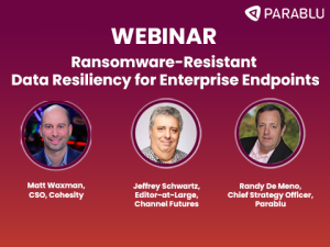 Ransomware-Resistant Data Resiliency webinar